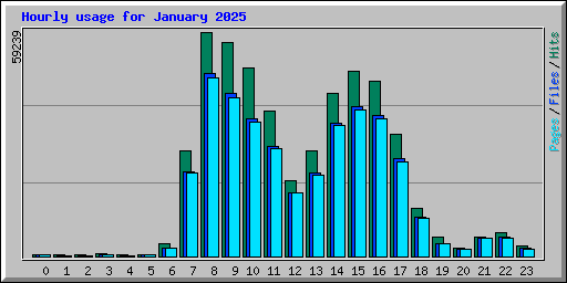Hourly usage for January 2025