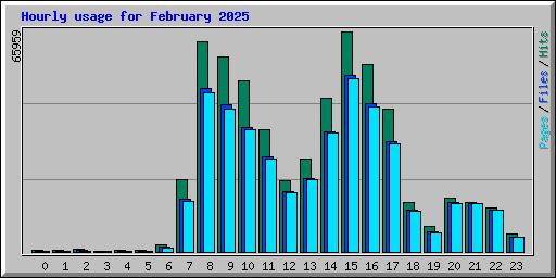Hourly usage for February 2025