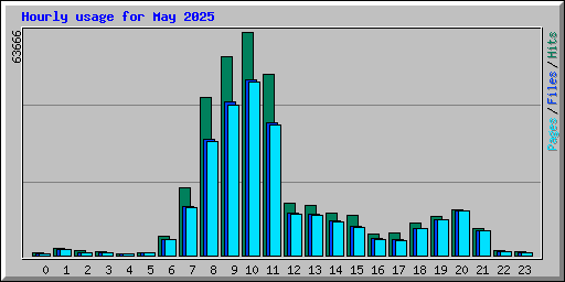 Hourly usage for May 2025