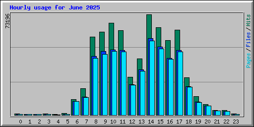Hourly usage for June 2025
