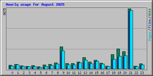 Hourly usage for August 2025