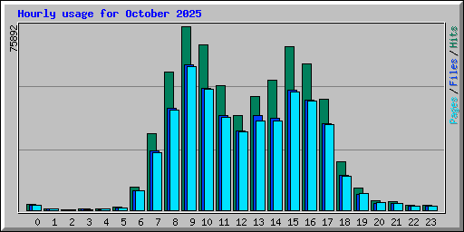 Hourly usage for October 2025