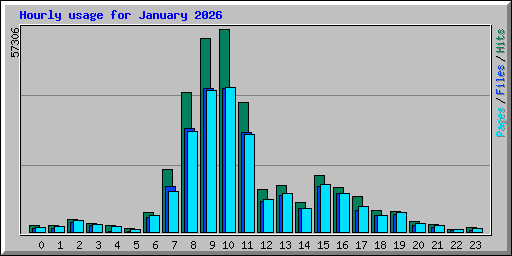 Hourly usage for January 2026